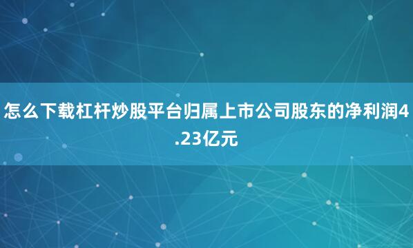 怎么下载杠杆炒股平台归属上市公司股东的净利润4.23亿元