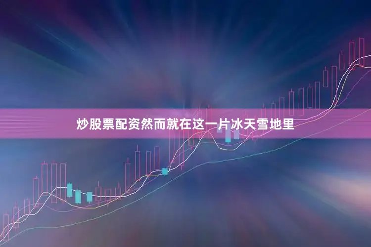 炒股票配资然而就在这一片冰天雪地里